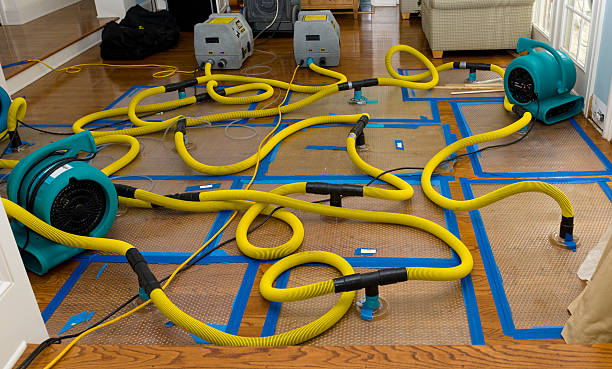 Professional Sewage Cleanup technician working in Surveyor, WV